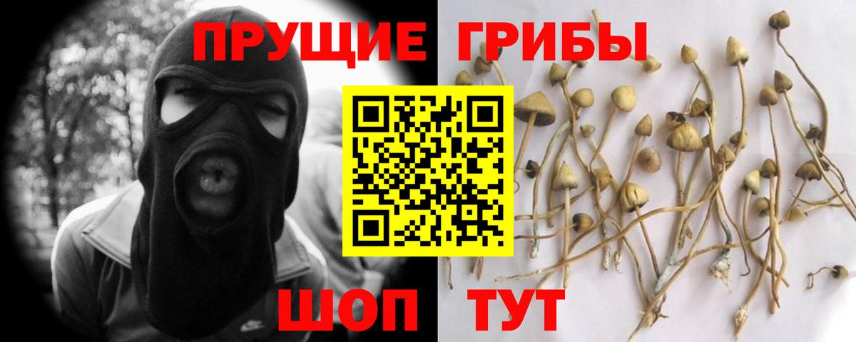 Псилоцибиновые грибы прущие грибы Гай