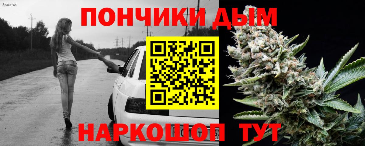 Каннабис конопля Гай
