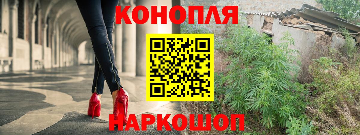 Каннабис планчик  Бошки марихуана индика  Вход с VPN  Гай 